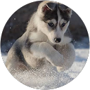 Mano RenjithamV profile picture