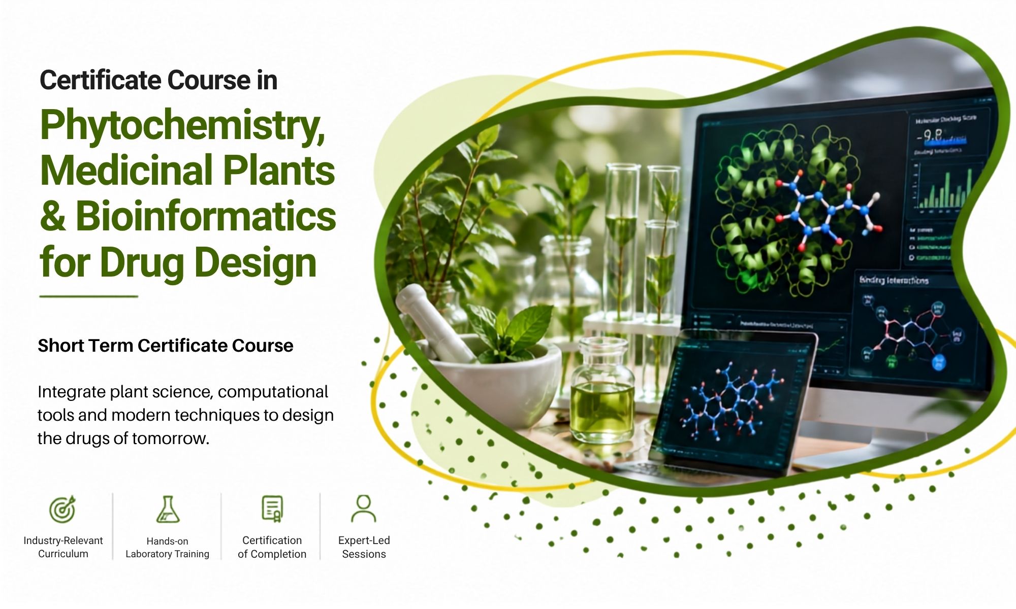 Phytochemistry and Medicinal Plants Course